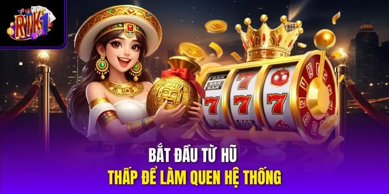 Bắt đầu từ hũ thấp để làm quen hệ thống